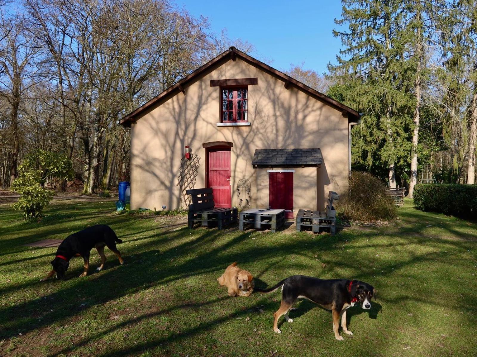 La Faisanderie Saint-Florent-sur-Cher Exterior foto