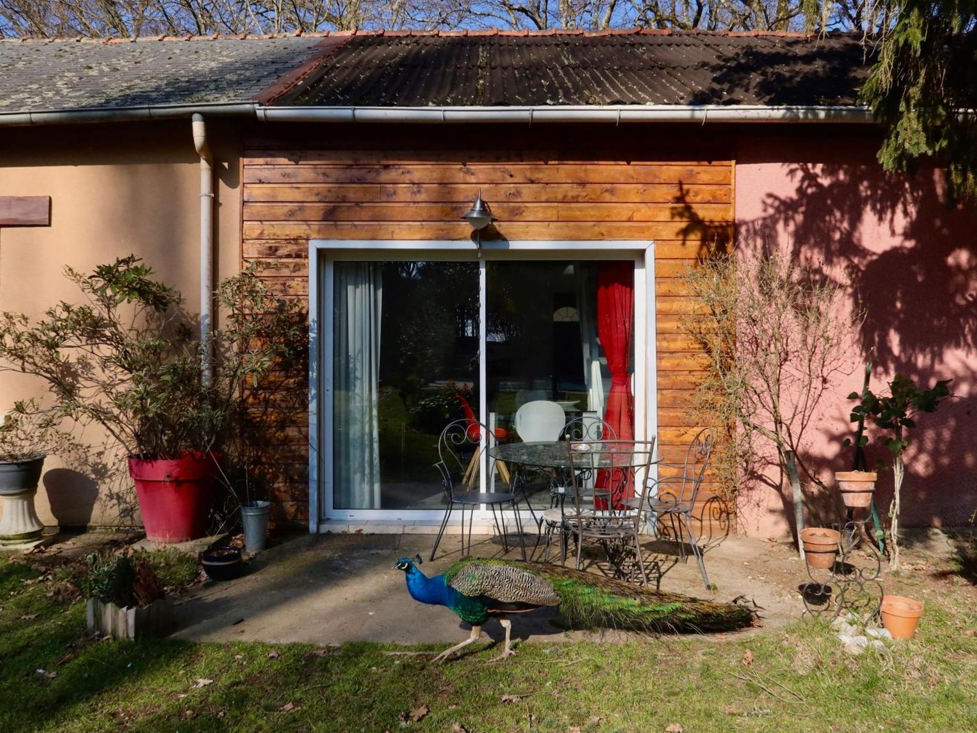 La Faisanderie Saint-Florent-sur-Cher Exterior foto